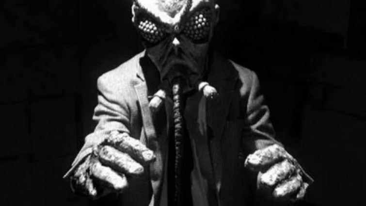 Weresquito-nAZI-hunter3.jpg-1_756_426_81_s